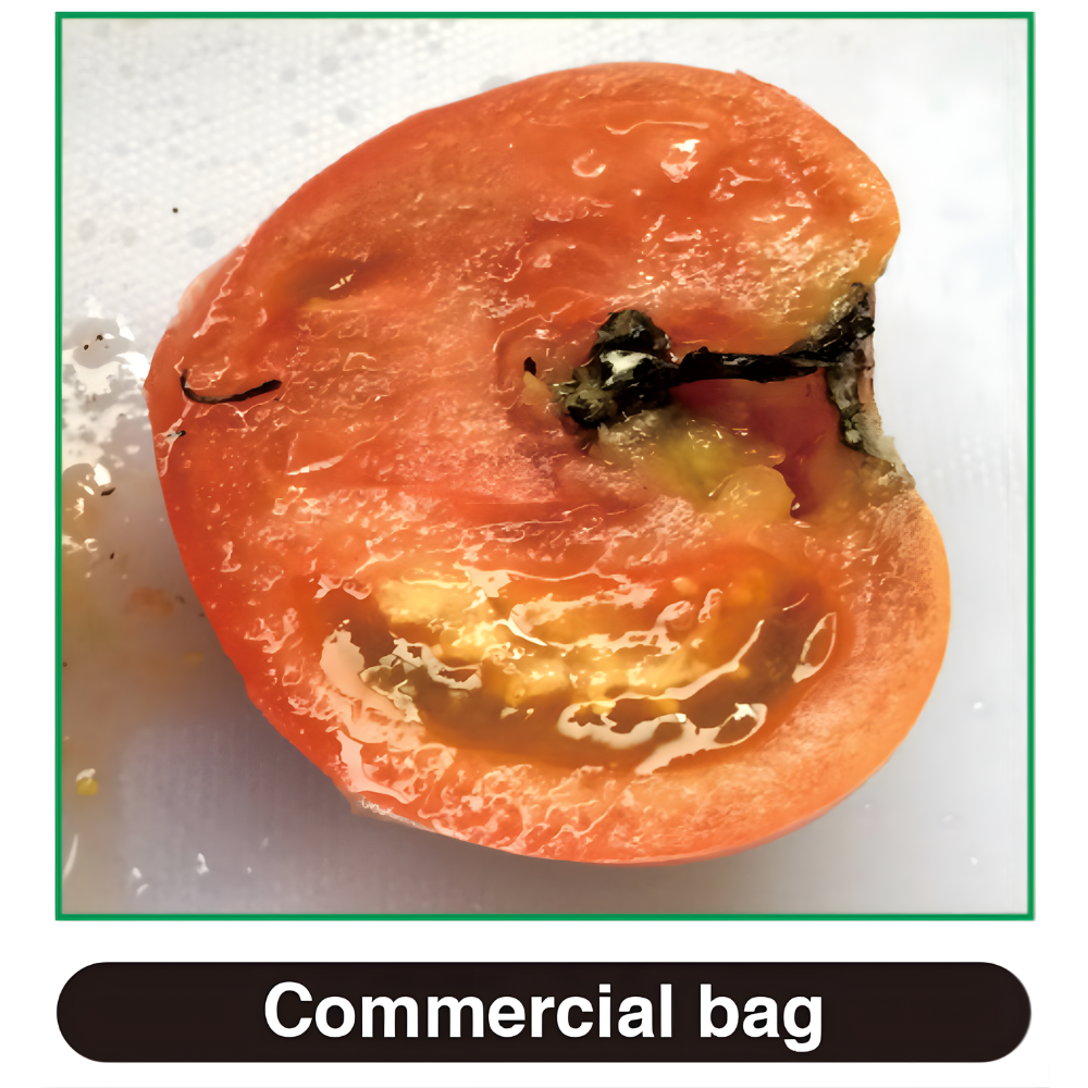 Tomatoes without Freshmama - spoiled